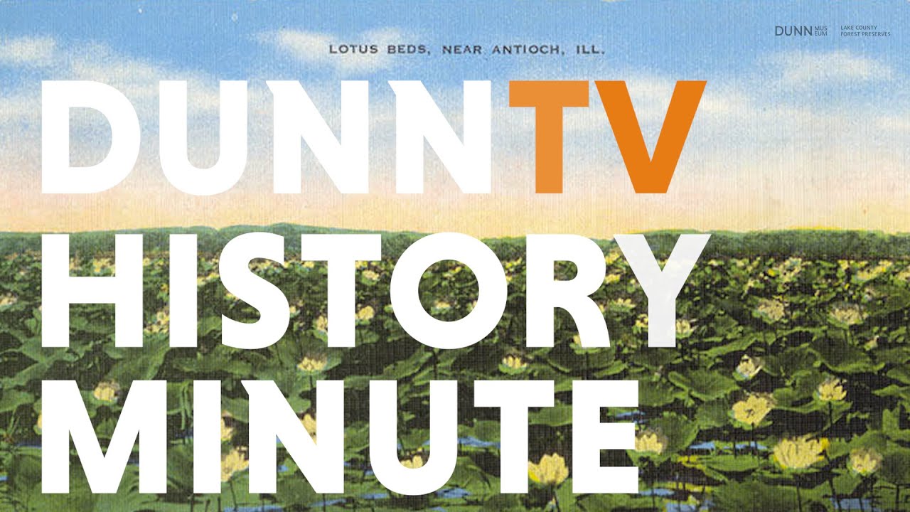 History Minute: Lotus Beds