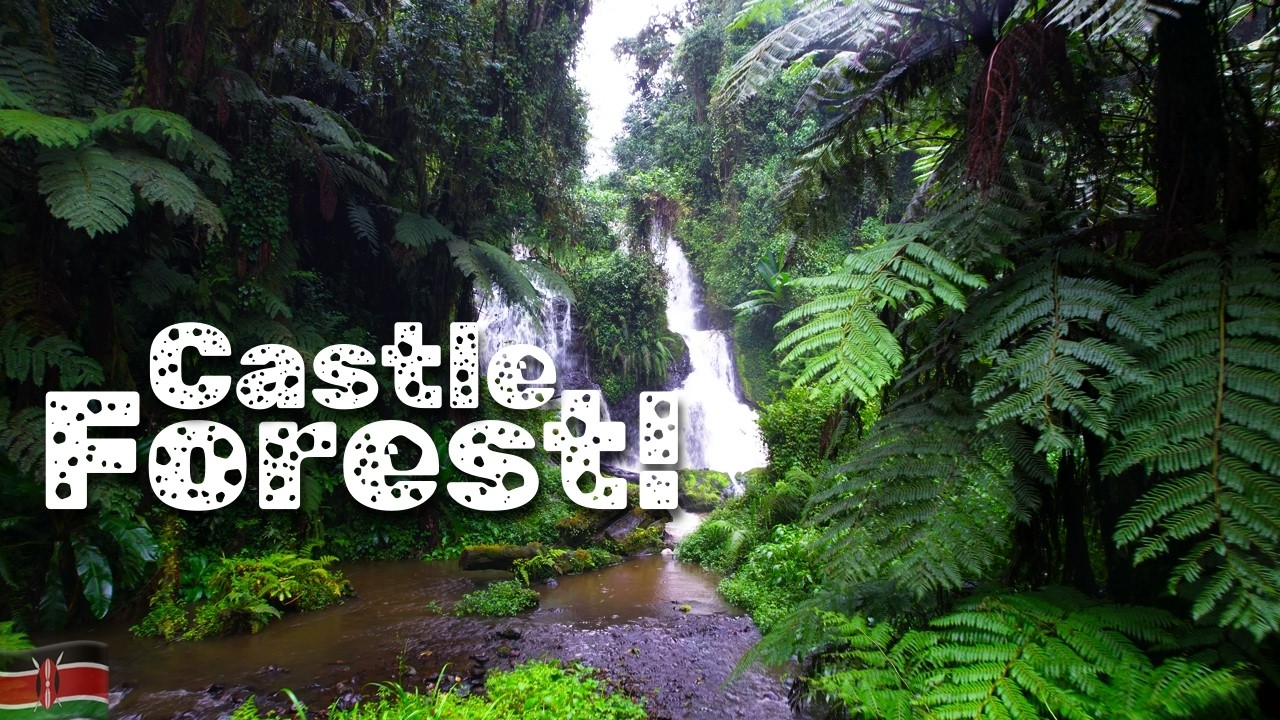 🇰🇪 Castle Forest!!  Solo camping | roadtrip | adventure | views