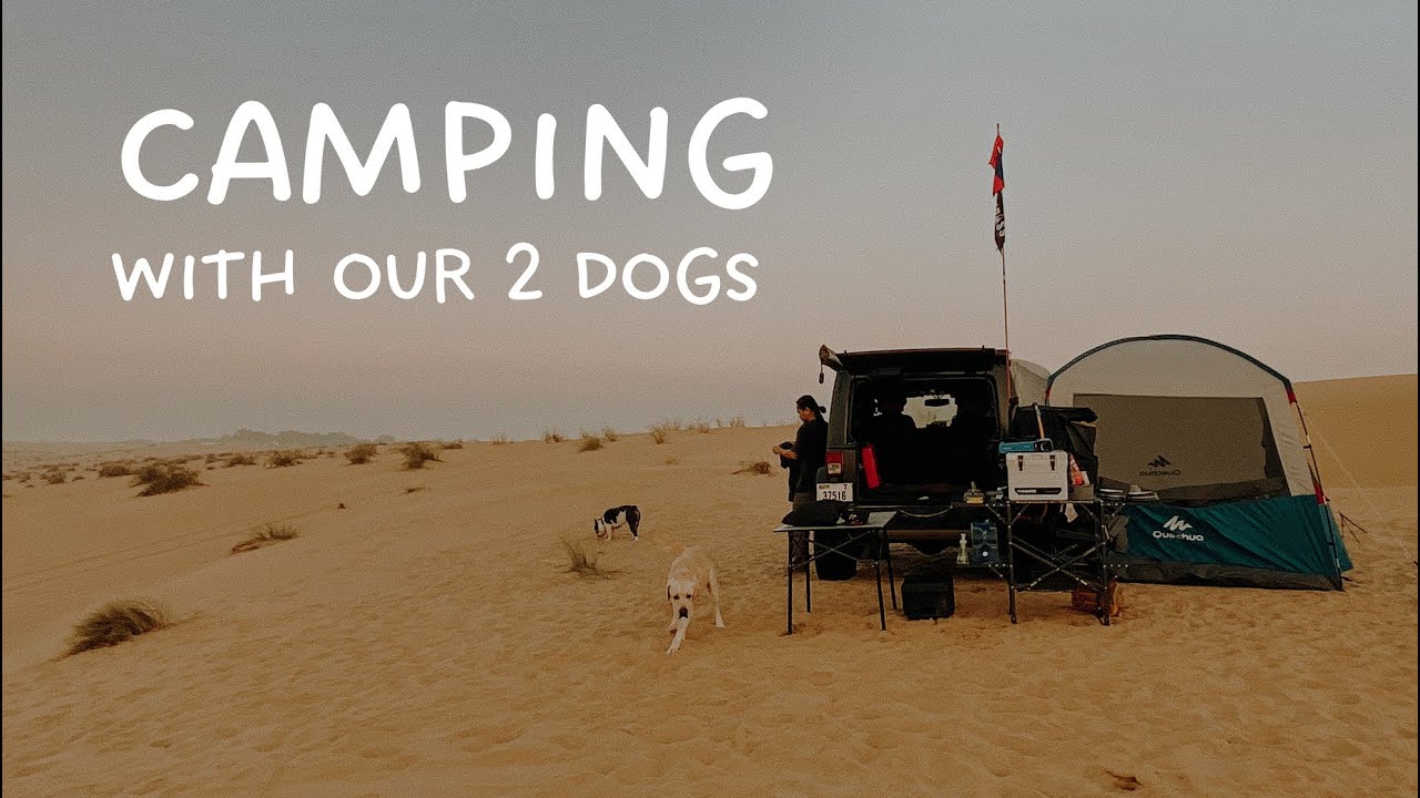 Desert Camping with Our 2 Dogs | Camping in Dubai