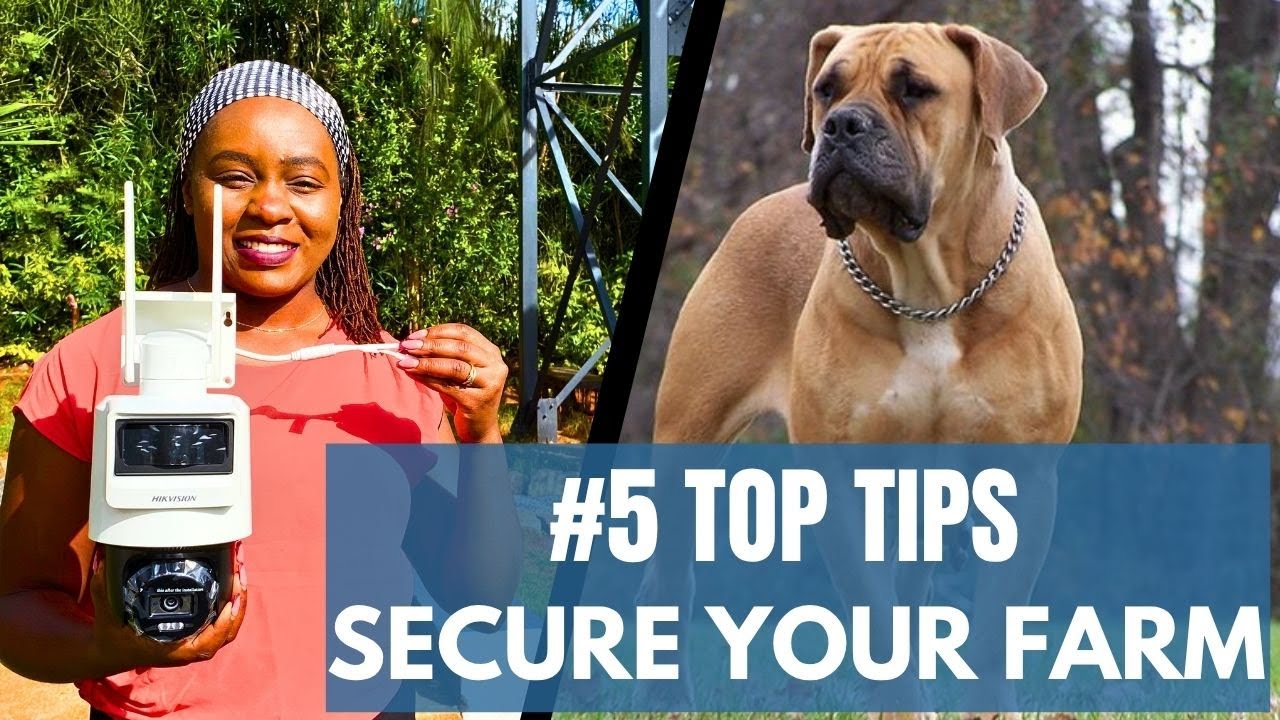 Top #5 Easy & Cheap Ways to Secure Your Farm 🛡️ | Farm Security 101