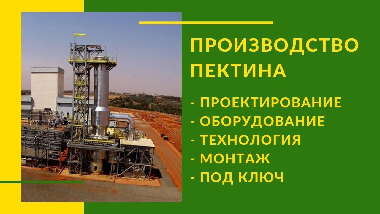 Производство пектина. Технология производства пектинов. Оборудование для производства пектина.