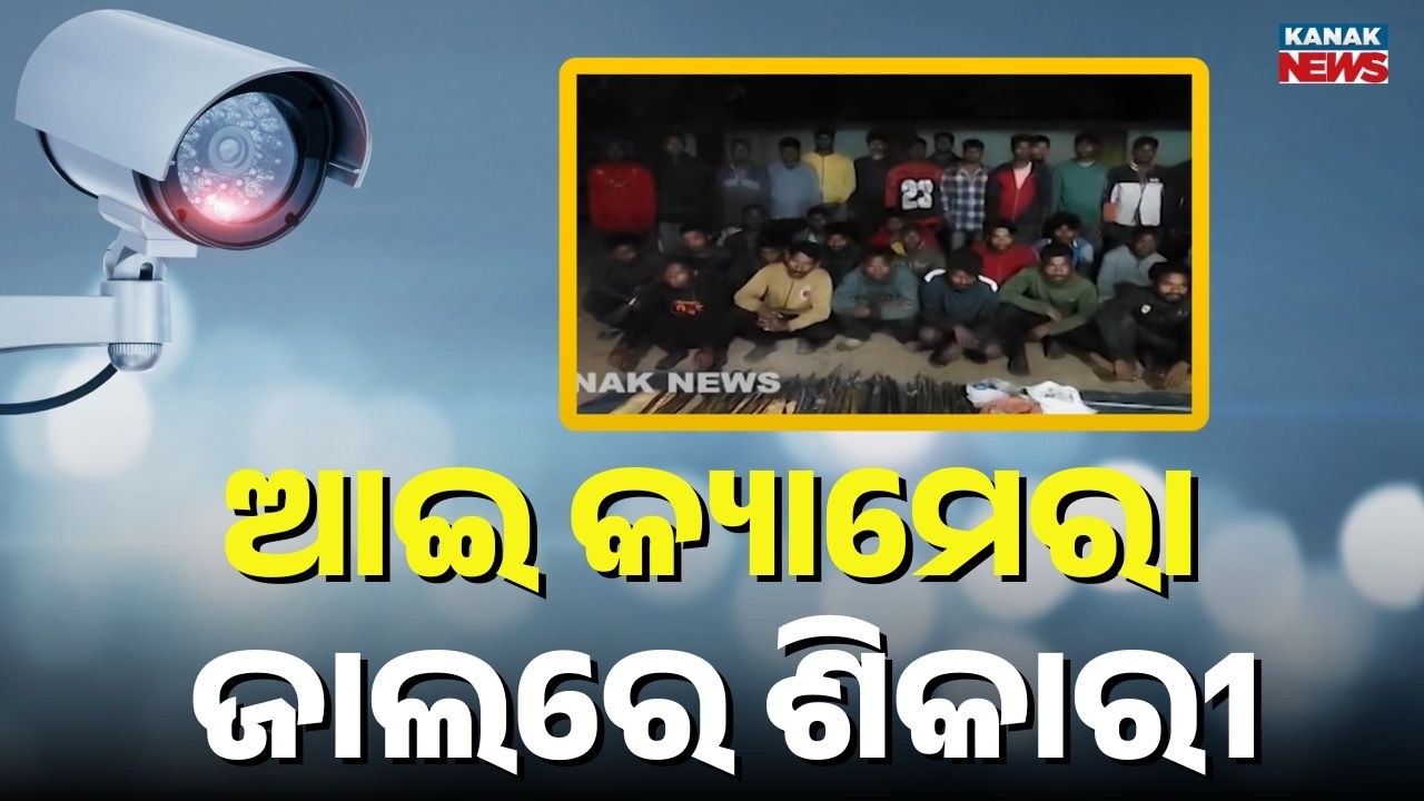 AI Camera Catches 39 Poachers in Similipal Sanctuary: Huge Weapons Seized