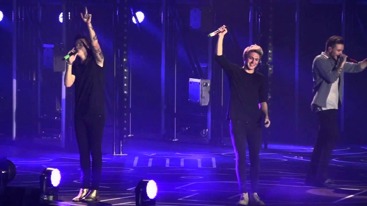 ONE DIRECTION - What makes you beautiful, LIVE at Sheffield last show 31/10/15 Halloween 1 D