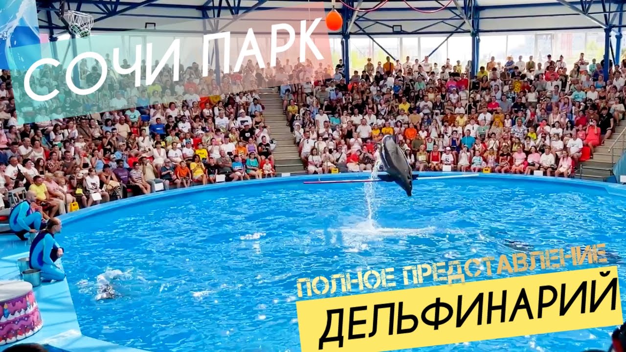 Дельфинарий в Сочи парк || Полное выступление