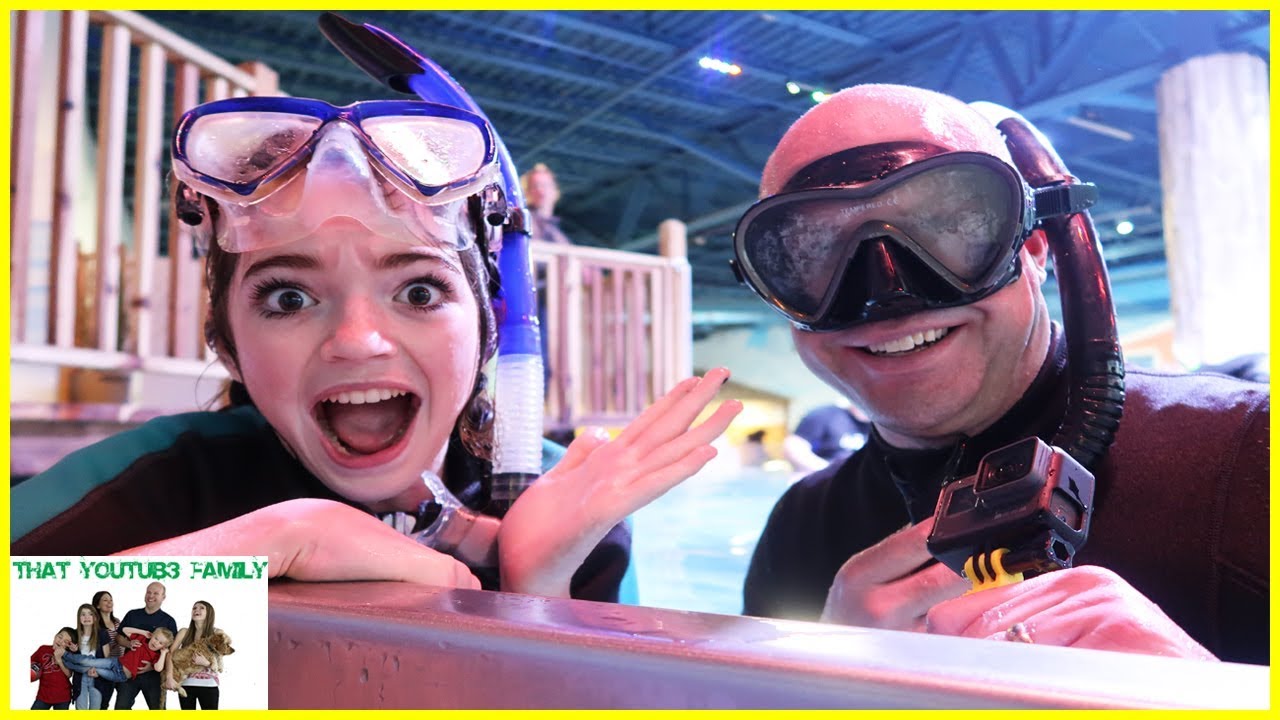 Swimming With STINGRAYS And SHARKS! / That YouTub3 Family