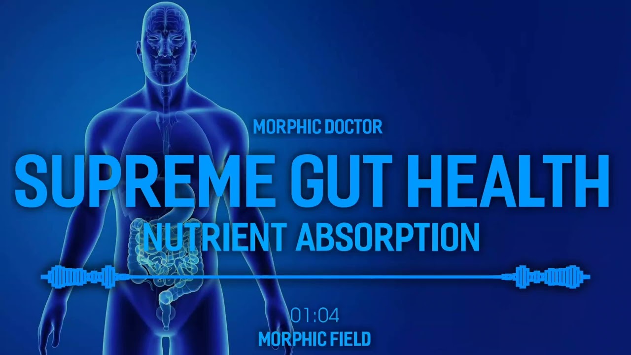 Supreme gut Health & Nutrient Absorption/morphic field