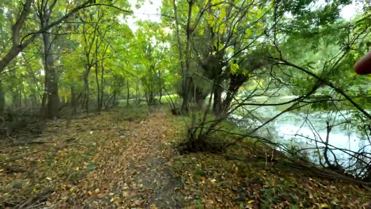 UN LOC SUPERB DE PESCUIT LA BRAILA