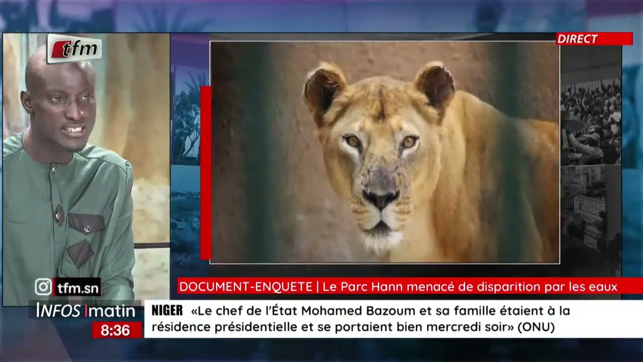Document-enquête : Le parc Hann menacé de disparition par les eaux