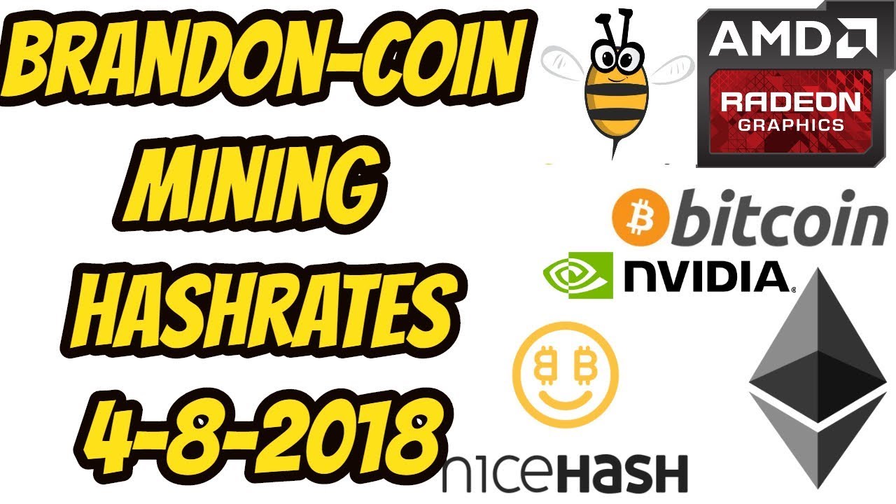Daily Mining Hashrates - Brandoncoin 4-8-2018
