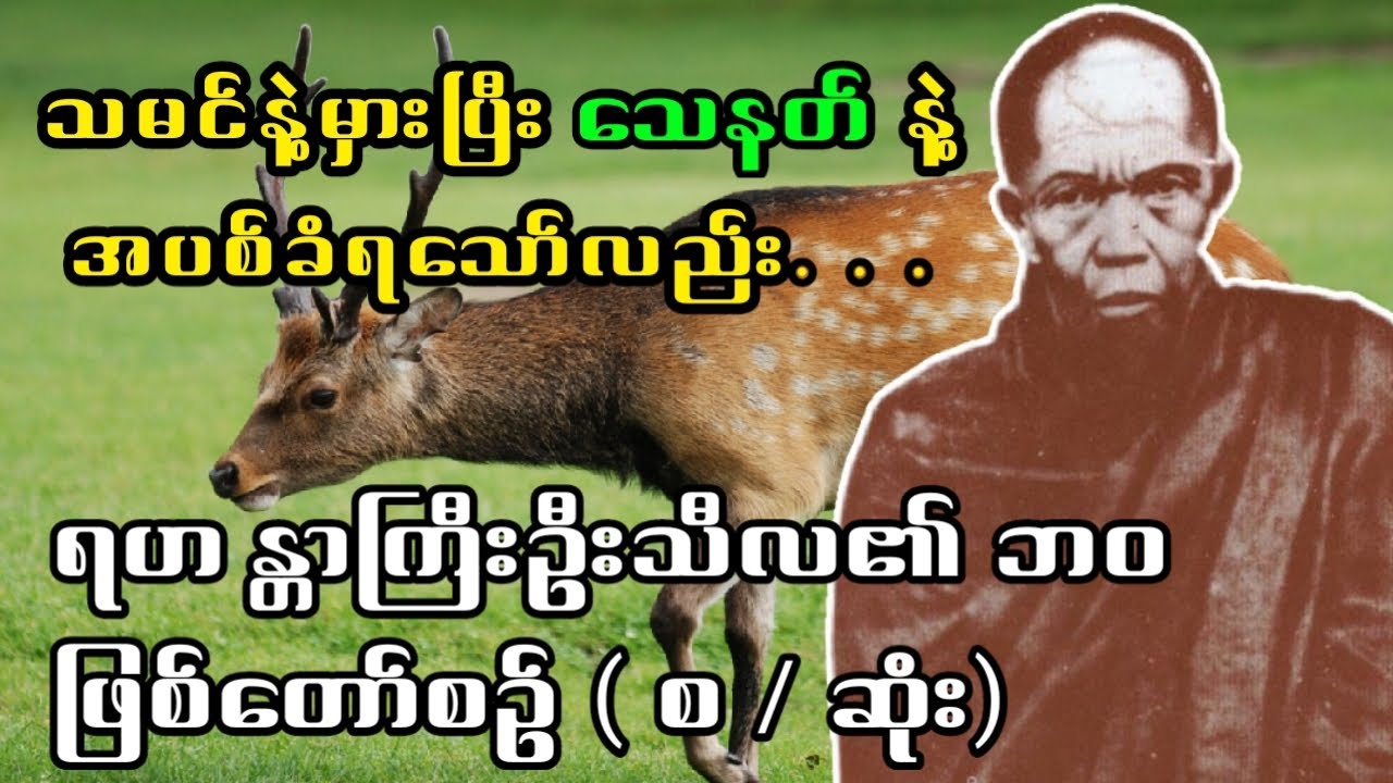 ရဟန္တာကြီးဦးသီလ၏ ဘဝဖြစ်တော်စဥ်