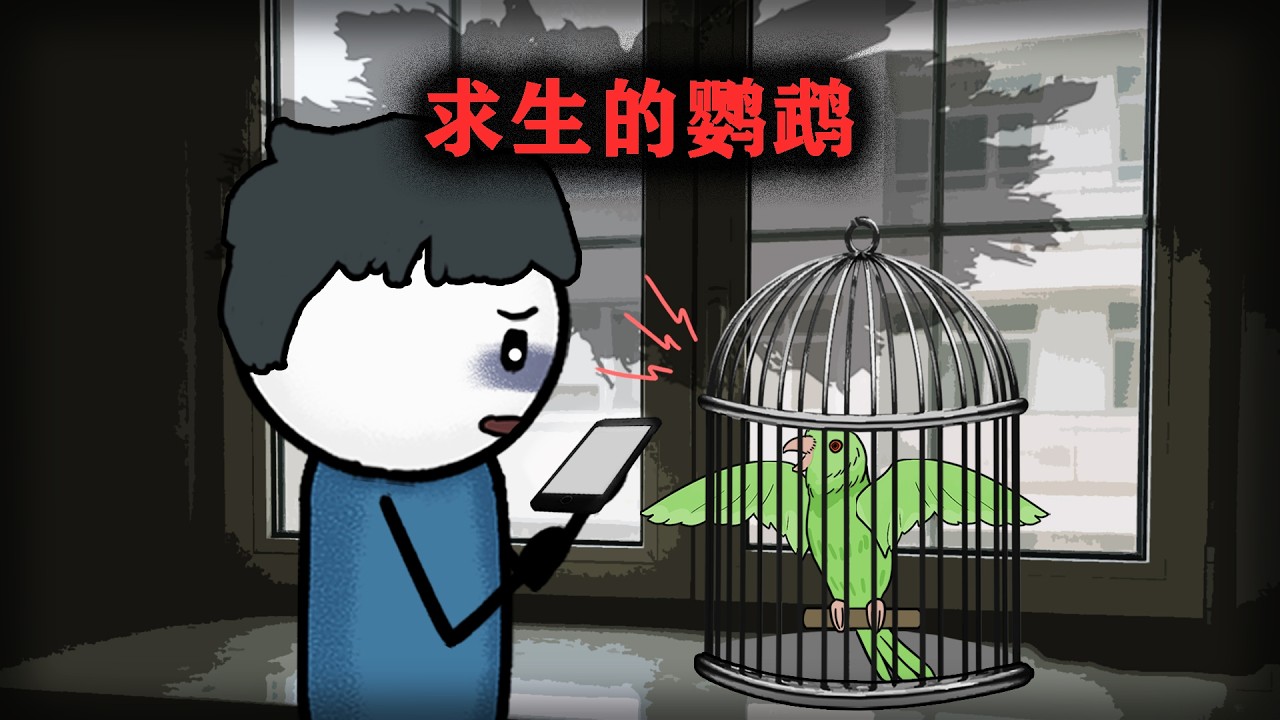 （完整版）如果你聽到一只鸚鵡說別殺我，第一時間就報警