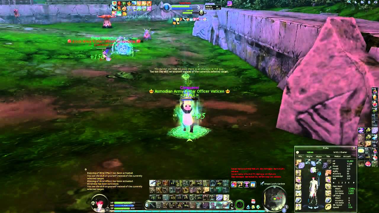 Aion 4.8 Chanter Open World PvP Highlight 9/15 No.2