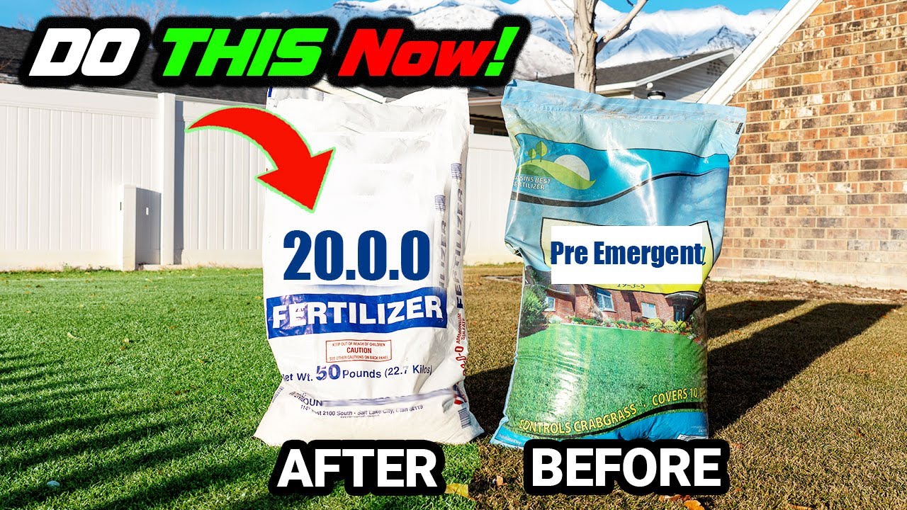 What’s the BEST Spring Fertilizer? Don’t Get This Wrong! 🌿