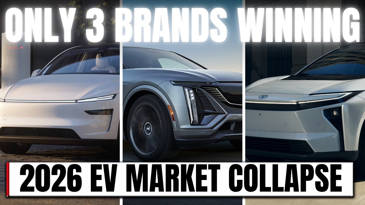 Everyone is Losing in the EV Market Crash EXCEPT These 3 Brands
