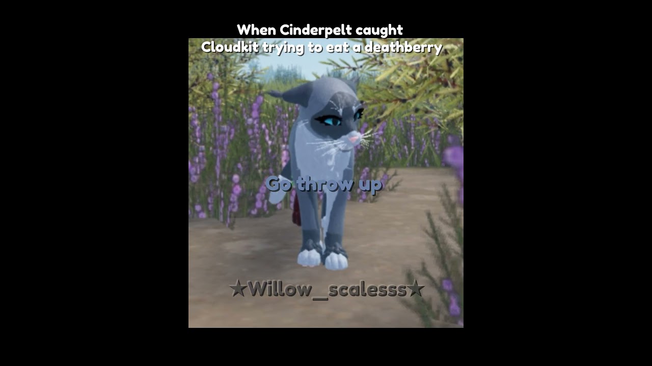When Cinderpelt caught Cloudkit trying to eat a deathberry{#wcue #wcueedit #wcuememe #warriorcats