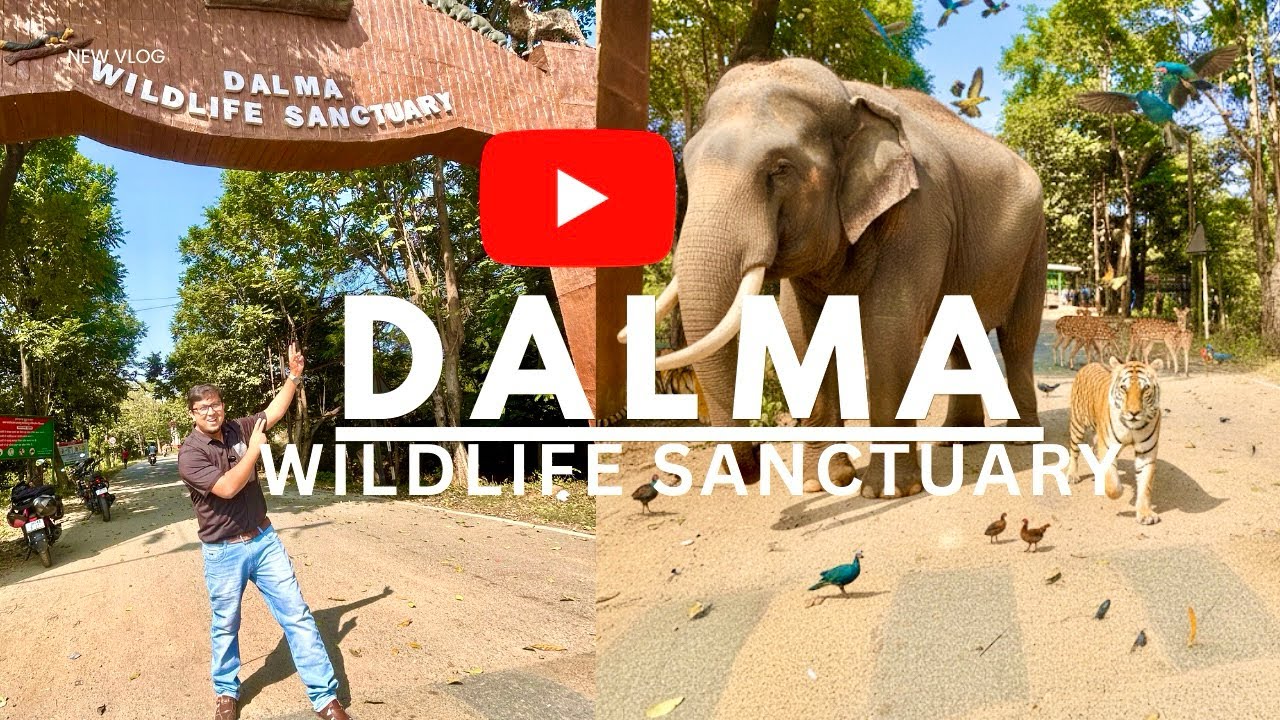 Dalma Wildlife Sanctuary #dalma #dalma wildlife sanctuary tour