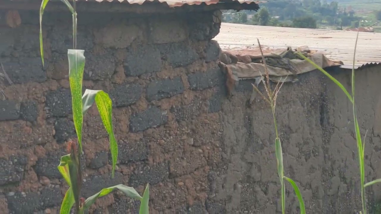 IKIBANZA KIRIMO NINZU WAVUGURURA IKAMI KIRAGURISHWA BAKAGUKORERA MUTATION  DUHAMAGARE +250783072475