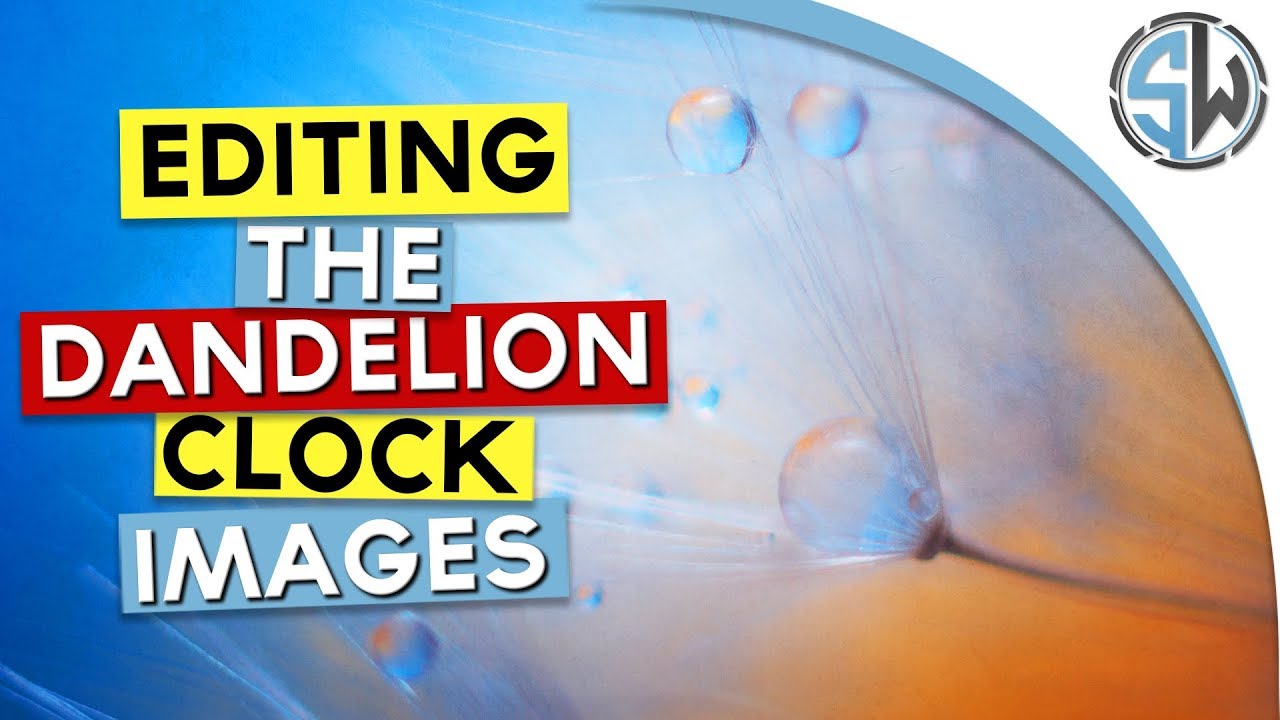 Editing the dandelion clock images