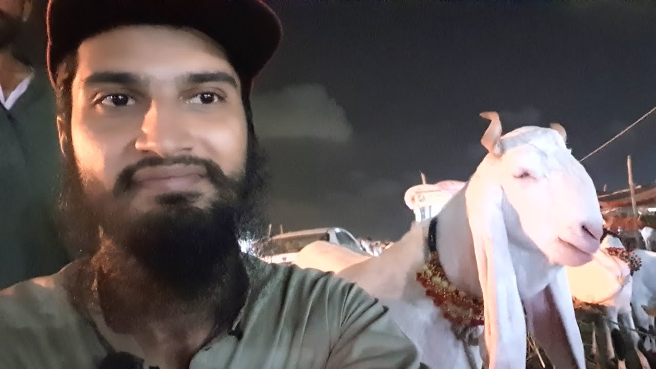 🔴 Live At Sohrab Goth Bakra Mandi 2021 Bakra Eid 2021 Cattle Market Karachi Eid ul Adha 2021