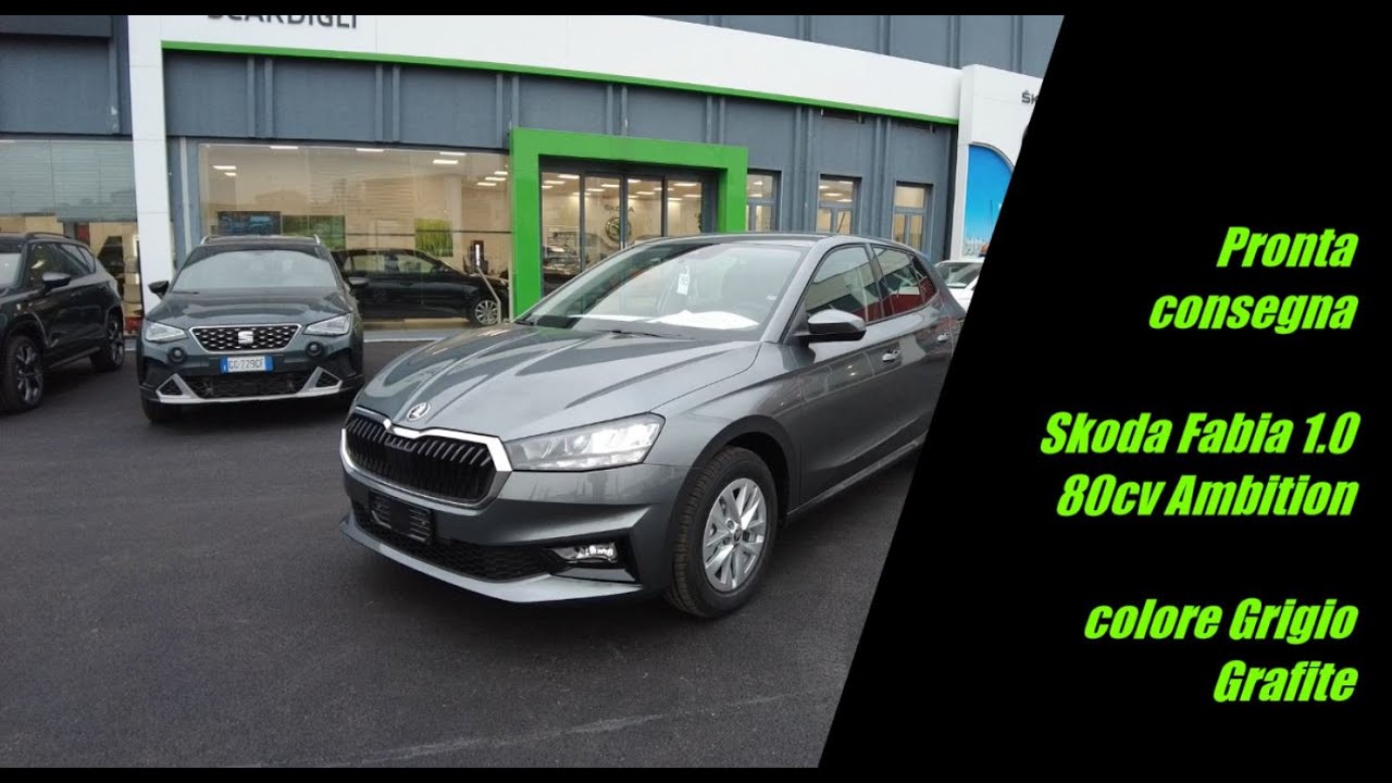 **VENDUTA** Skoda Fabia 1.0 80cv Ambition Grigio Grafite ** PER NEO-PATENTATI**