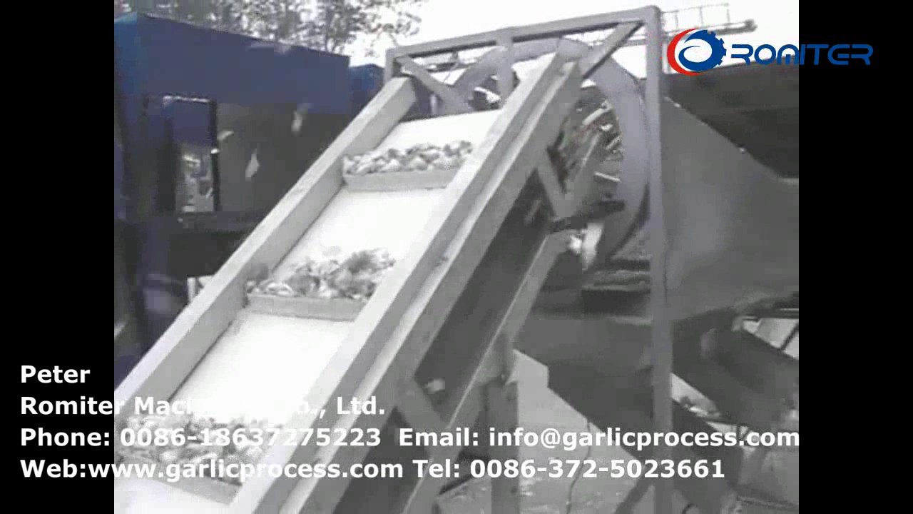 Automatic Garlic Clove Separating and Garlic Seed Size Sorting Machine