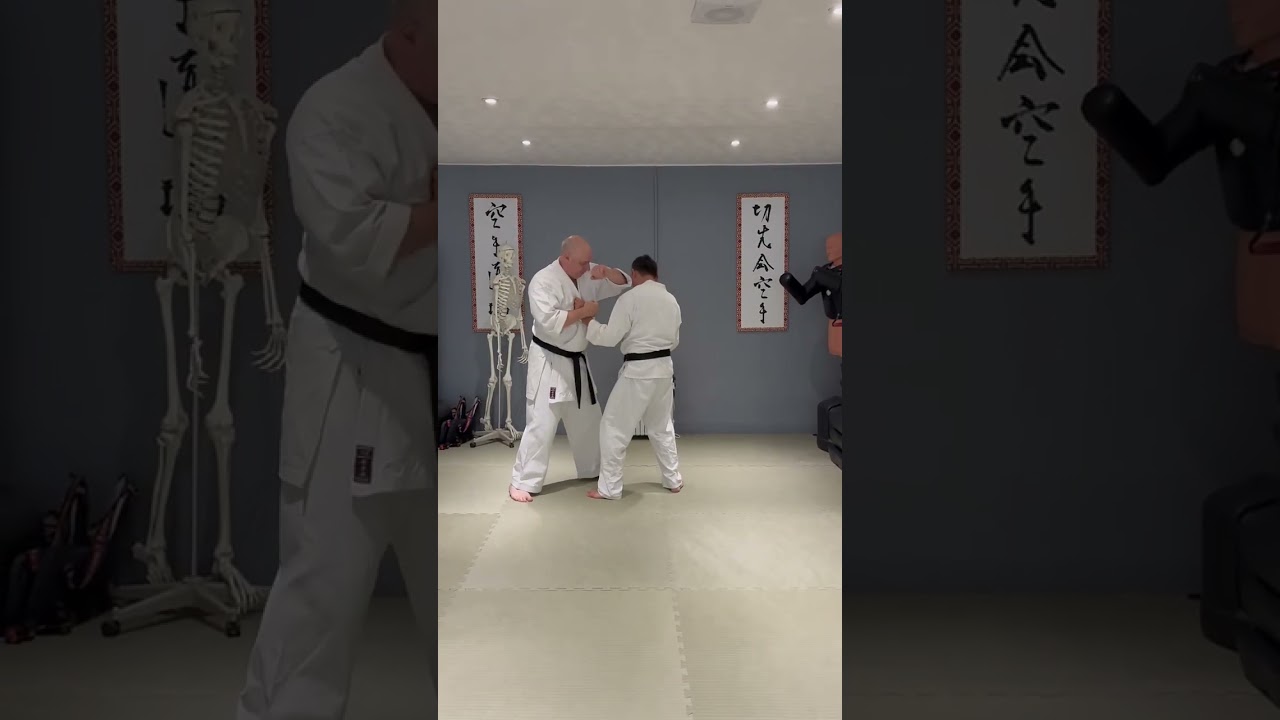 Naihanchi/Tekki Shodan and Niseishi/Nijushiho application