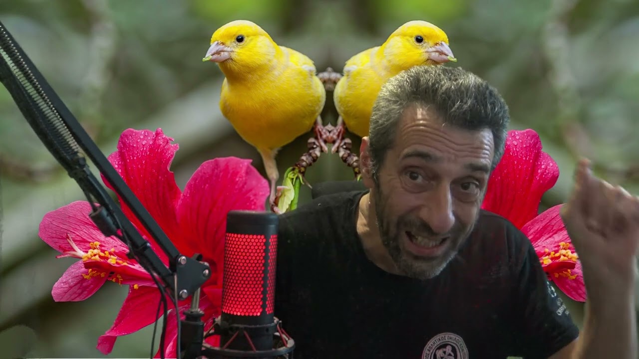ΚΑΝΑΡΙΝΙΑ ΟΛΗ Η ΑΛΗΘΕΙΑ ΓΙΑ ΤΟ ΕΜΠΟΡΙΟ ΤΟΥΣ