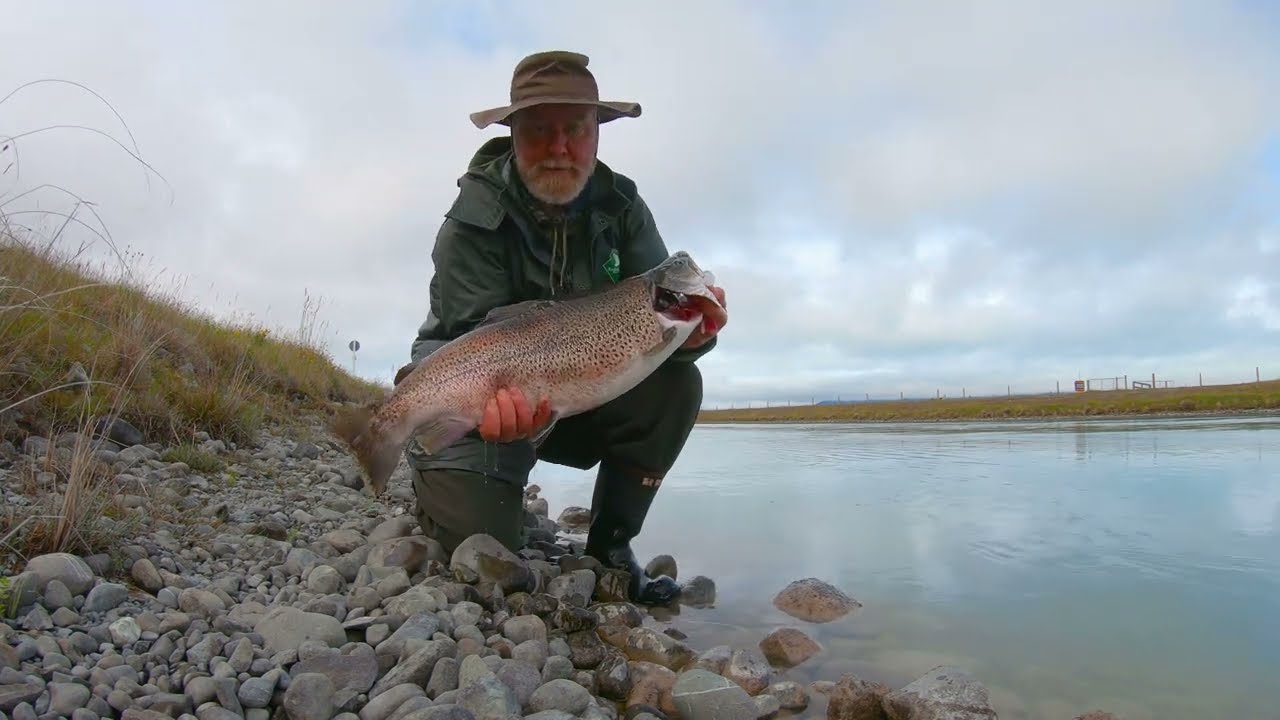 Gathering more Wild Food: Twizel Hydro-scheme : December 2022 (At 4k Resolution).