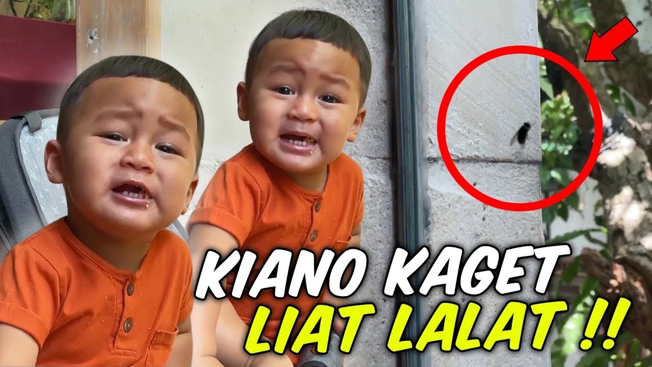 KIANO KESAL TIBA - TIBA ADA LALAT GIGIT KIANO 😱😱😱