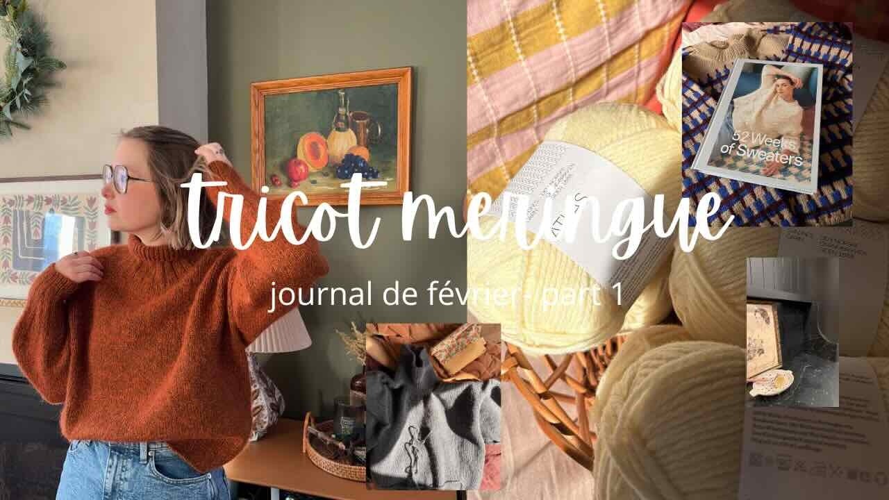 JOURNAL DE FÉVRIER- Je raconte tout sur le tricot à plat, beaucoup de colis  reçu et coin lecture