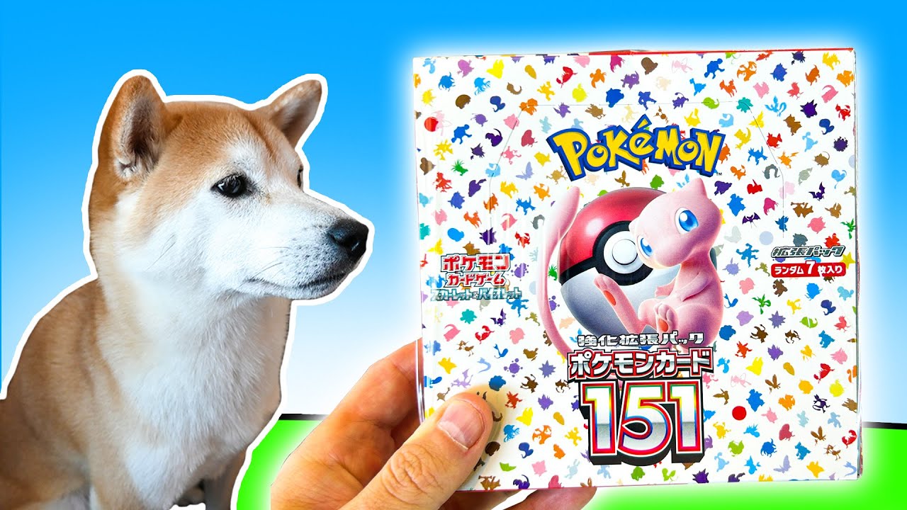 Opening a Pokemon 151 Booster Box