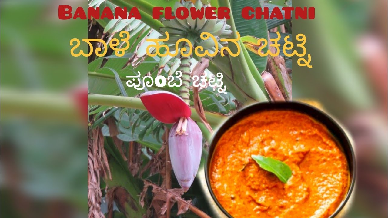 easy and tasty simple banana flower chutney. ಪುಂಬೆ ಚಟ್ನಿ ಸಿಂಪಲ್ ಮೆಥಡ್