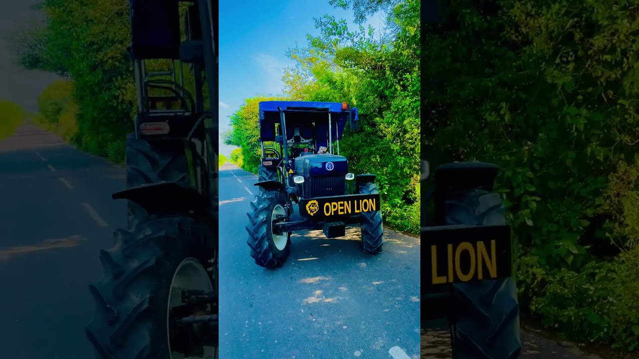 open lion come back  #openlion ❤️❤️❤️🥰🥰