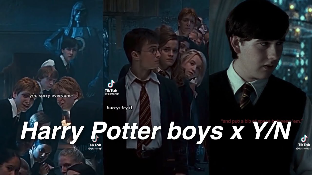 Harry Potter x Y/N TikTok POVs