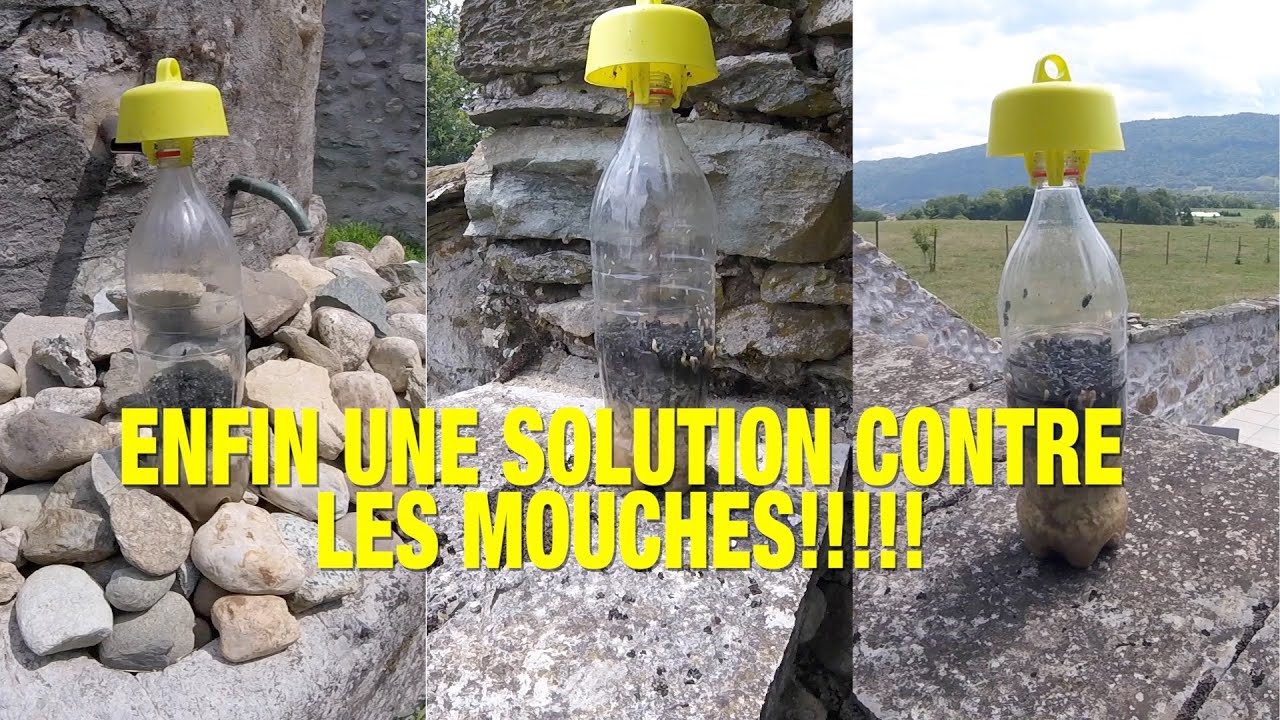 ENFIN UN PIEGE A MOUCHES EFFICACE!