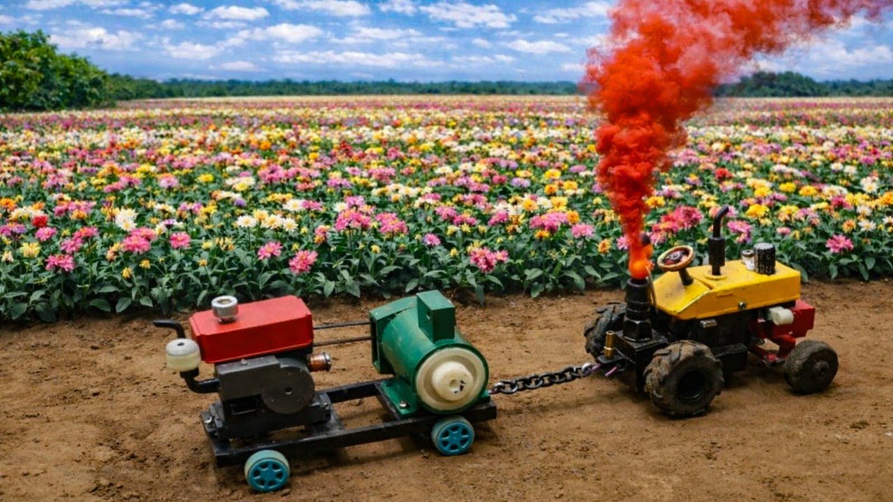 Tiny Peanut Man Brings Water Pump & Generator to Save Flower Farm | Mini Tractor Farming Story 🌸🚜