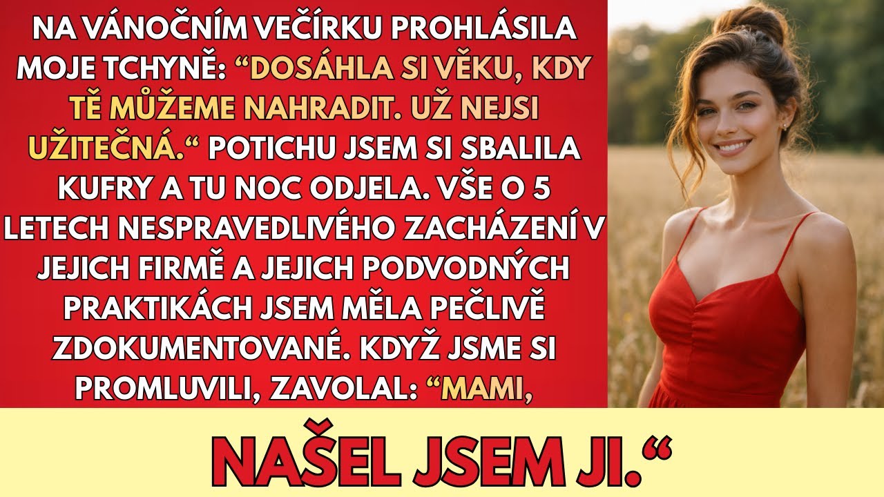 Na Vánočním Večírku PROHLÁSILA Moje Tchyně: “Je Čas Tě Nahradit — Jsi K NIČEMU.“ A Já…