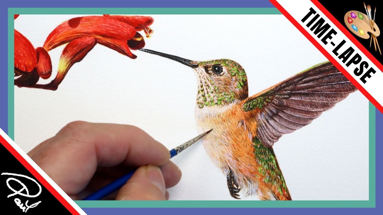 LEARN TO PAINT A HUMMINGBIRD IN WATERCOLOR |  Wildlife Painting Tutorial Preview
