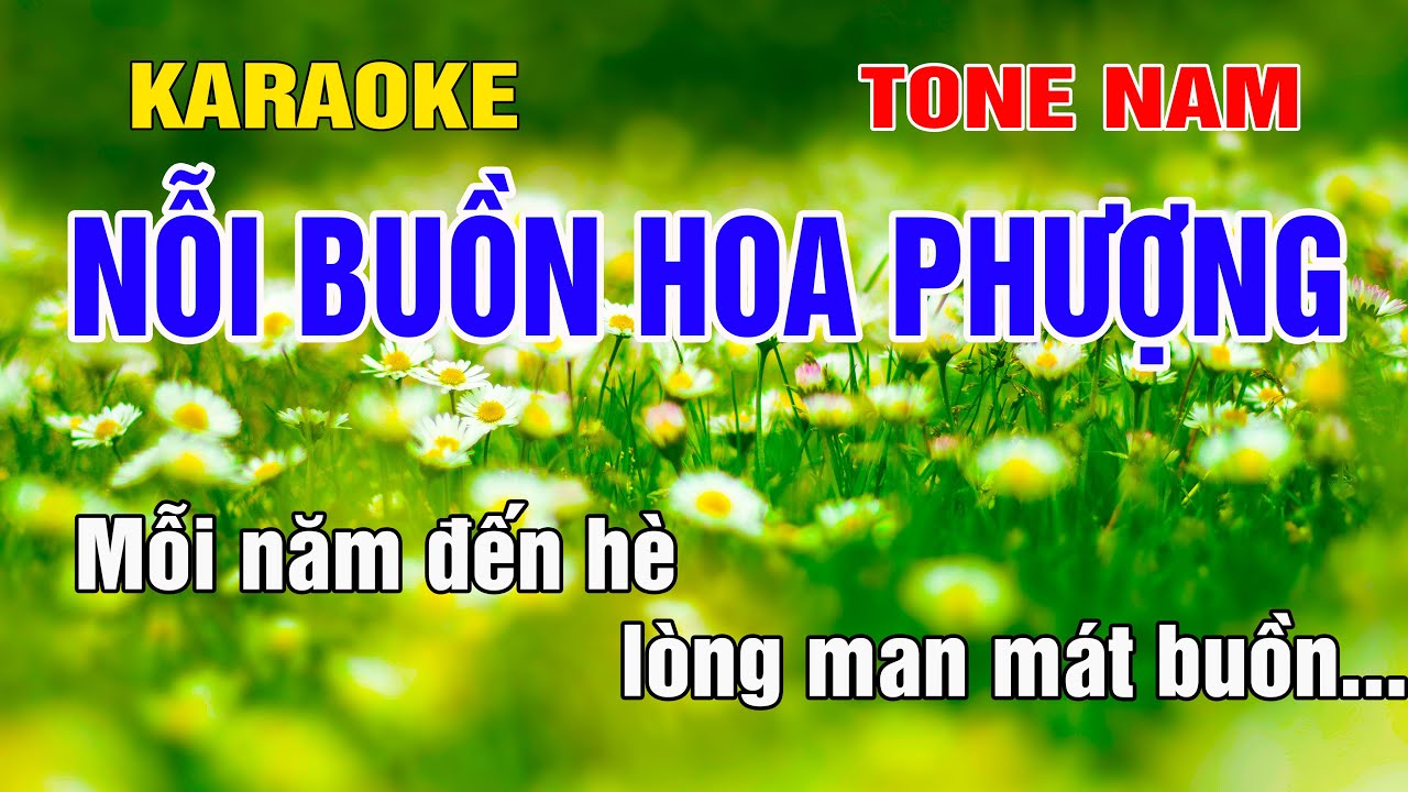 Nỗi Buồn Hoa Phượng Karaoke Tone Nam Nhạc Sống gia huy beat