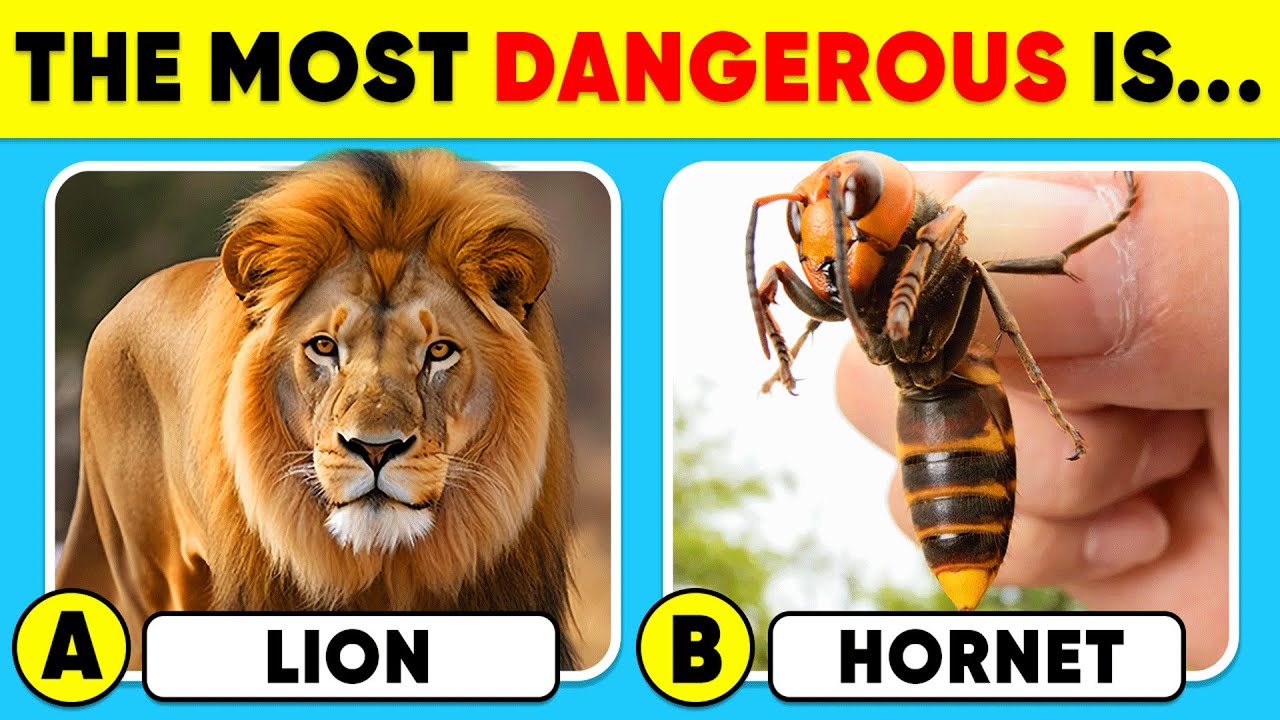 How Good Is Your Knowledge of ANIMALS? 🦁🐯✅ General Knowledge Trivia Quiz
