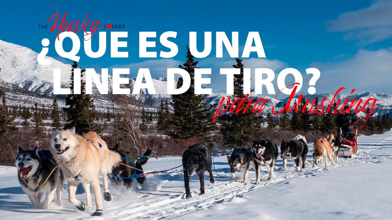 ¿Que es una línea de tiro?