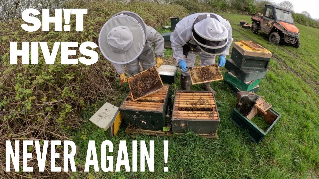 Sh!t hives