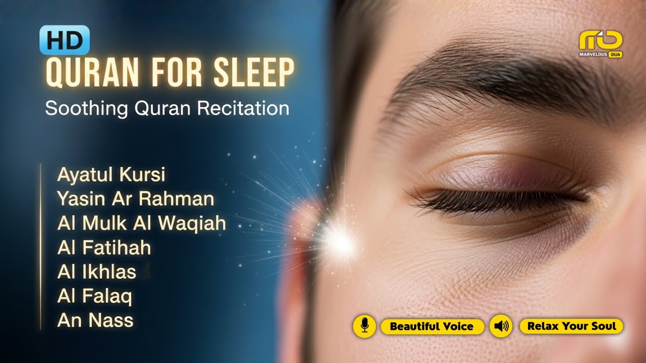 Relaxing Quran Night Recitation ✦ Yasin, Ar Rahman, Al Waqiah, Al Mulk, Ayatul Kursi