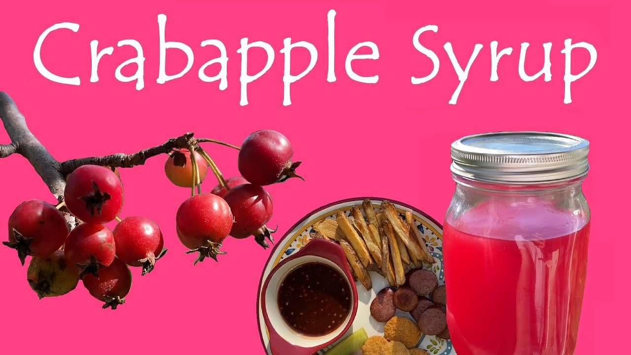Crabapple Syrup 🍎 Surprisingly Useful