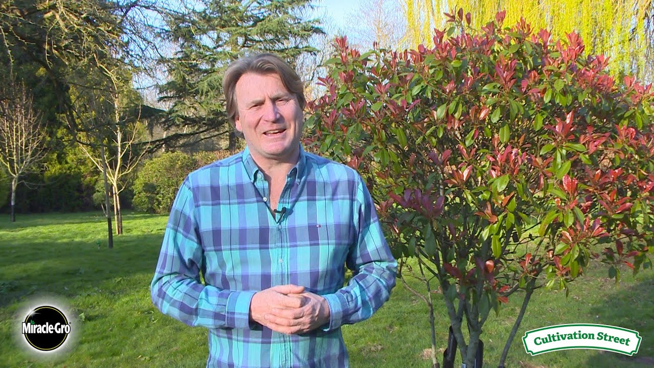 A message to communities from David Domoney