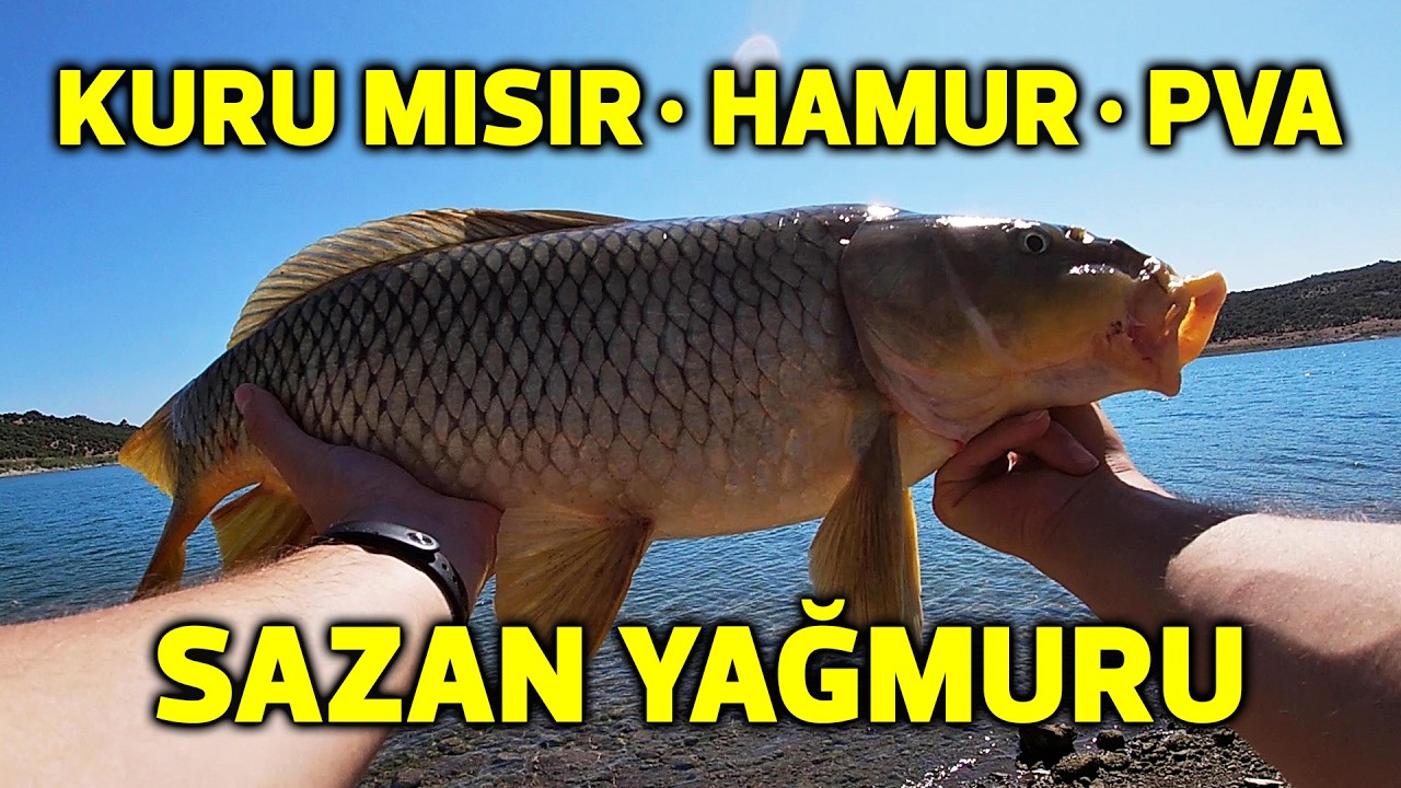 We Caught Carp Like Rain | Dry Corn - Carp Pulp - PVA
