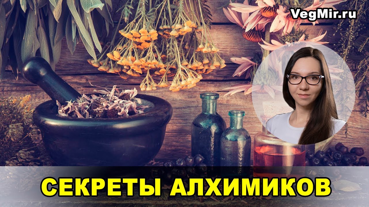 Секреты АЛХИМИКОВ - польза измельчённых трав. Почему помолотая в порошок трава полезней обычной