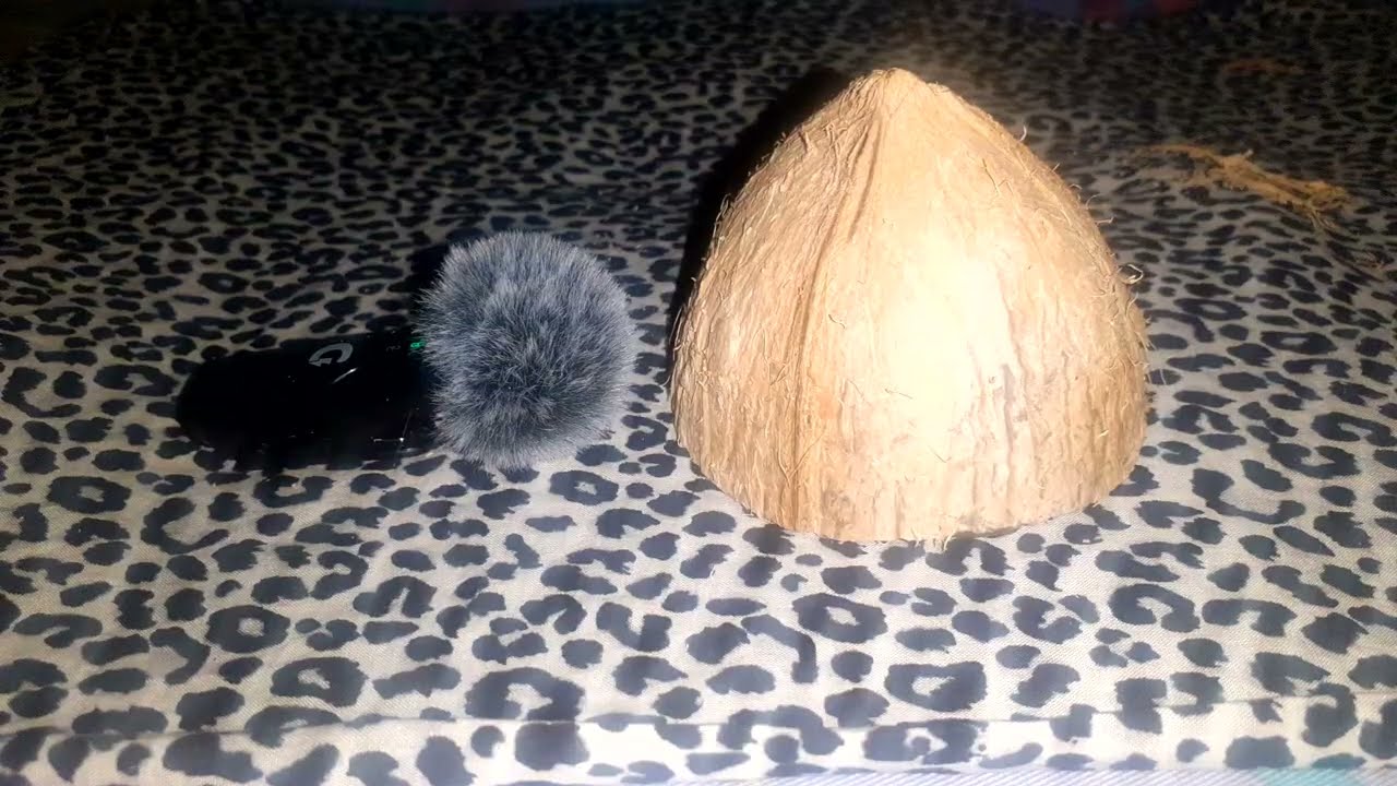 Coconut shell carving for ear tingles 🥶