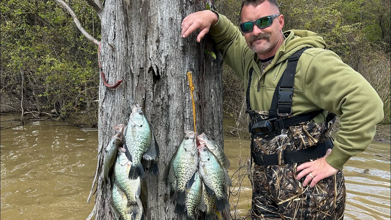 Wading the jungle for crappie!! Sardis Lake