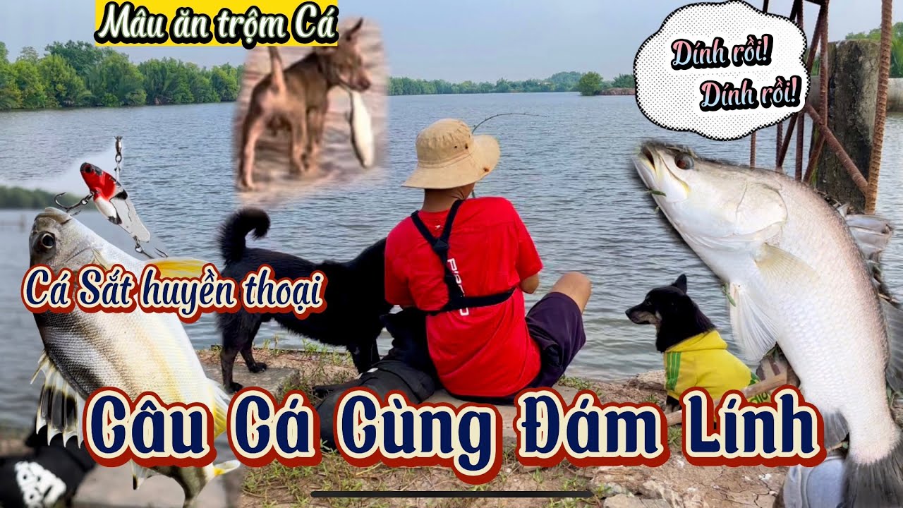 Ngòi câu cá trước Cóng cùng Bầy Lính | mòi Cá Sắt huyền thoại và cuộc gặp gở những chú Lính Củ.
